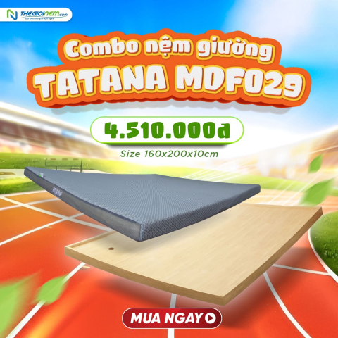 Combo NỆM GIƯỜNG 029