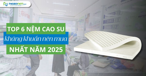 Top 6 nệm cao su thiên nhiên kháng khuẩn tốt nên mua 2025