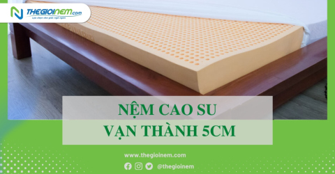 Nệm cao su vạn thành 5cm giá bao nhiêu? | Thegioinem.com