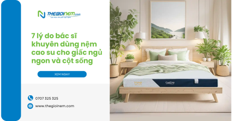 7 lý do bác sĩ khuyên dùng nệm cao su cho giấc ngủ ngon và cột sống khỏe