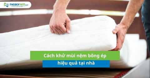 Cách khử mùi nệm bông ép tại nhà hiệu quả, đơn giản cho mọi gia đình