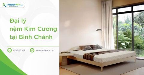 Đại Lý Nệm Kim Cương Tại Bình Chánh - Thế Giới Nệm