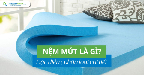 Nệm mút là gì? Đặc điểm, phân loại chi tiết