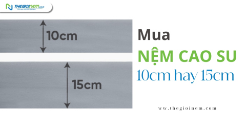 Mua nệm cao su 10cm hay 15cm?