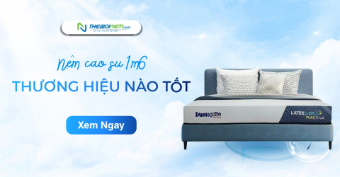 Nệm cao su 1m6 thương hiệu nào tốt?