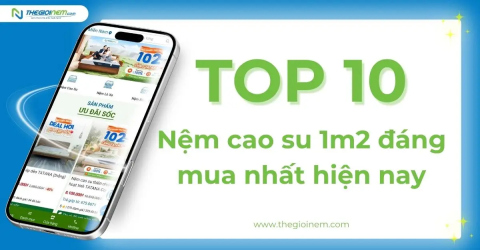 Top 10 nệm cao su 1m2 đáng mua nhất hiện nay