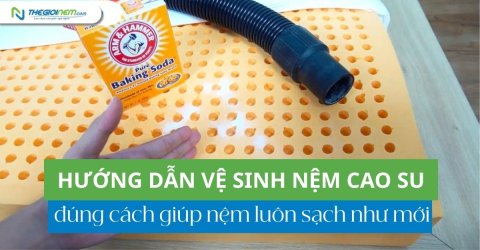 Hướng dẫn vệ sinh nệm cao su đúng cách giúp nệm luôn sạch như mới