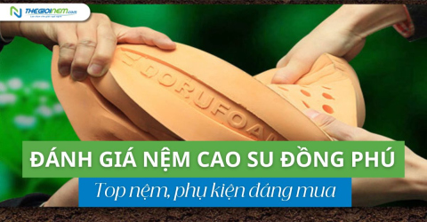 Đánh giá nệm cao su Đồng Phú - Top 4 nệm, phụ kiện đáng mua nhất