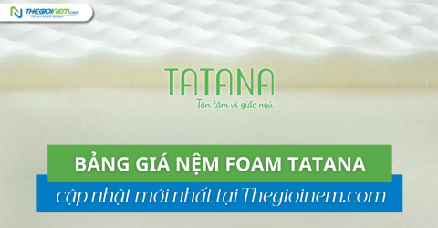 Bảng giá nệm foam TATANA mới nhất 2025