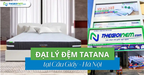 Đại lý đệm Tatana chính hãng ở Cầu Giấy