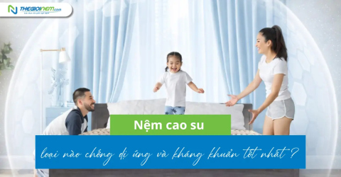 Nệm cao su loại nào chống dị ứng và kháng khuẩn tốt nhất