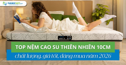 Top nệm cao su thiên nhiên 10cm chất lượng, giá tốt 2026