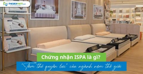 Chứng nhận ISPA là gì? "Tấm thẻ quyền lực" của ngành nệm thế giới