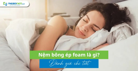 Nệm bông ép foam là gì? Đánh giá chi tiết