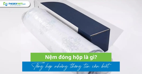 Nệm đóng hộp là gì? Tổng hợp những thông tin cần biết