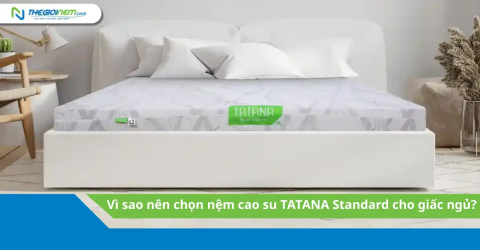 Vì sao nên chọn nệm cao su TATANA Standard cho giấc ngủ?