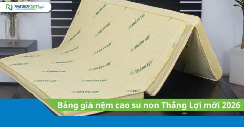 Bảng giá nệm cao su non Thắng Lợi mới 2026