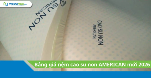 Bảng giá nệm cao su non American mới 2026