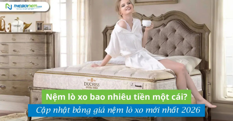 Nệm lò xo bao nhiêu tiền một cái? Cập nhật bảng giá nệm lò xo mới nhất 2026
