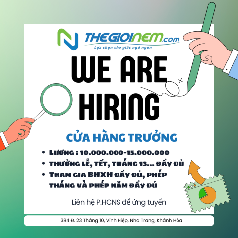 Thế Giới Nệm Tuyển Dụng Nhân Sự Cửa Hàng Trưởng 2026