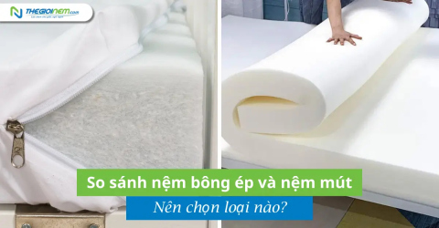 So sánh nệm bông ép và nệm mút: Nên chọn loại nào?