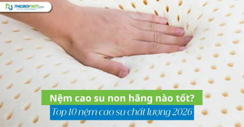 Nệm cao su non hãng nào tốt? Top 10 nệm cao su chất lượng 2026
