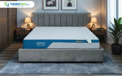 Đại lý bán nệm Tatana giá rẻ tại Tây Ninh