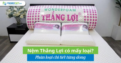 Nệm Thắng Lợi có mấy loại? Phân loại chi tiết từng dòng