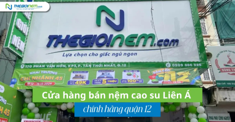 Cửa hàng bán nệm cao su Liên Á chính hãng quận 12
