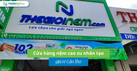Cửa hàng nệm cao su nhân tạo giá rẻ Cần Thơ | Thegioinem.com
