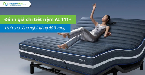 Đánh giá chi tiết nệm AI T11+: Đỉnh cao công nghệ nâng đỡ 5 vùng