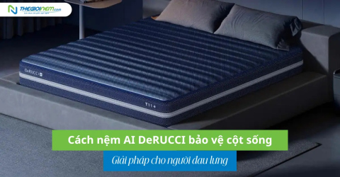 Giải pháp cho người đau lưng: Cách nệm AI DeRUCCI bảo vệ cột sống
