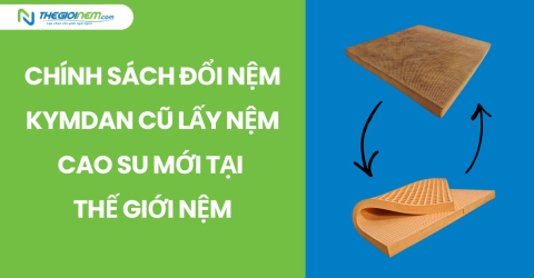 Đổi nệm Kymdan cũ lấy nệm cao su mới