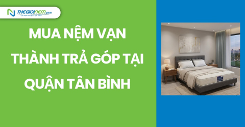 Mua Nệm Vạn Thành Trả Góp Tại Quận  Tân Bình | Thegioinem.com