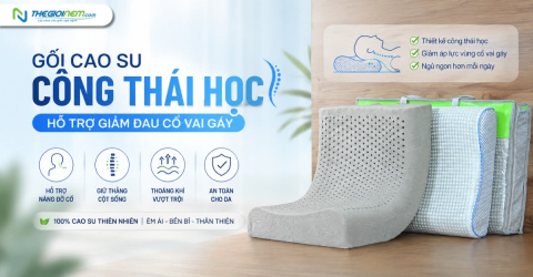 Gối cao su công thái học hỗ trợ giảm đau cổ vai gáy