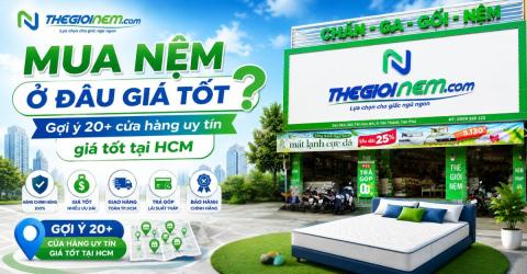 Mua nệm ở đâu giá tốt