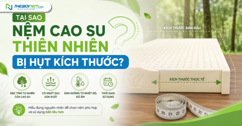 Tại sao nệm cao su thiên nhiên bị hụt kích thước