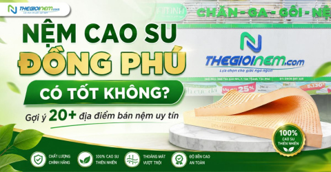 Nệm cao su Đồng Phú có tốt không?