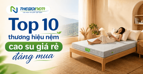 Top 10 thương hiệu nệm cao su giá rẻ đáng mua nhất 2026