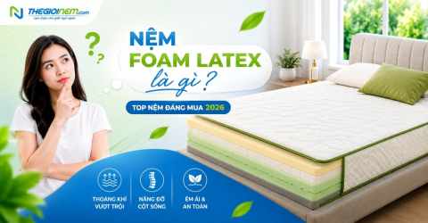 Nệm foam latex