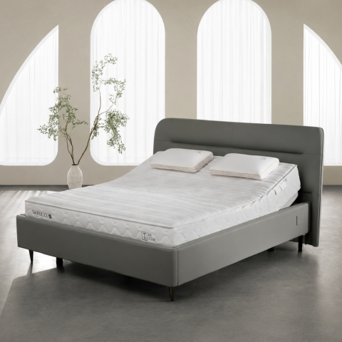 Nệm AI DeRUCCI T11 SE MOS1-001A