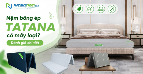 Nệm bông ép TATANA có mấy loại
