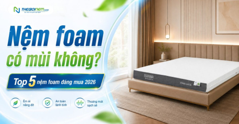 Nệm foam có mùi không? Top 5 nệm foam đáng mua 2026