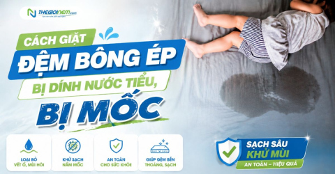 Cách giặt đệm bông ép bị dính nước tiểu, bị mốc