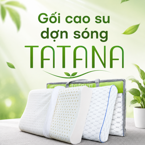Gối cao su dợn sóng thiết kế công thái học TATANA giá chỉ 399k