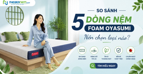 So sánh 5 dòng nệm foam Oyasumi - nên chọn loại nào?