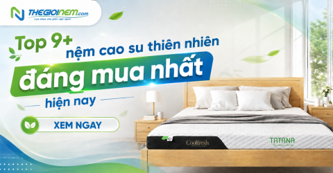 Top 9+ nệm cao su thiên nhiên tốt nhất hiện nay