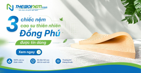 3 chiếc nệm cao su thiên nhiên Đồng Phú được tin dùng nhất