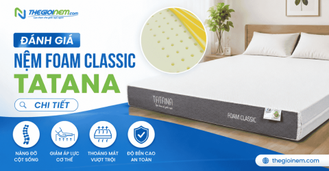 Đánh giá nệm foam Classic TATANA chi tiết kèm bảng giá mới nhất 2026