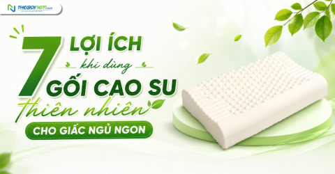7 Lợi ích khi sử dụng gối cao su thiên nhiên